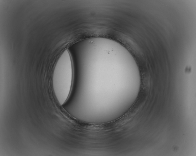 X0000097620077200802290830