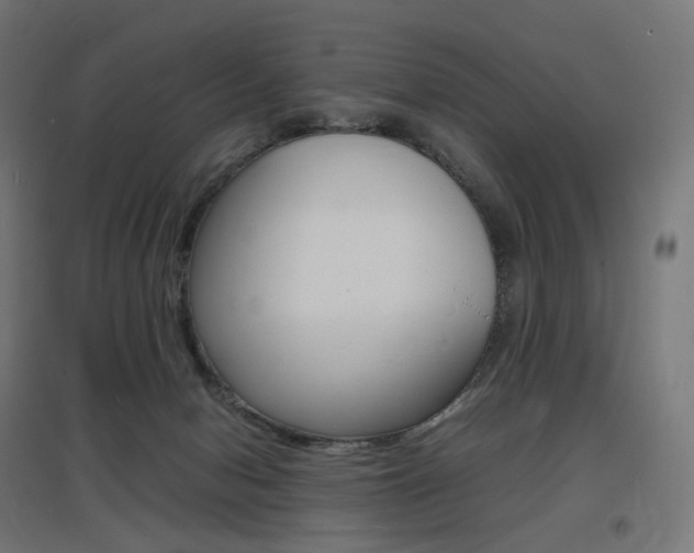 X0000097620078200802290830