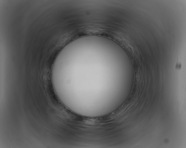 X0000097620079200802290830