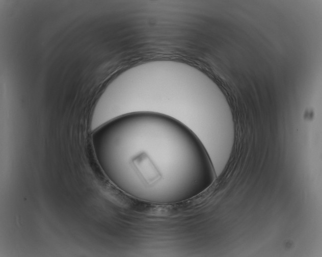 X0000097620080200802290830