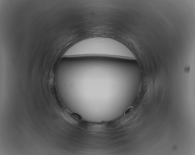 X0000097620081200802290830