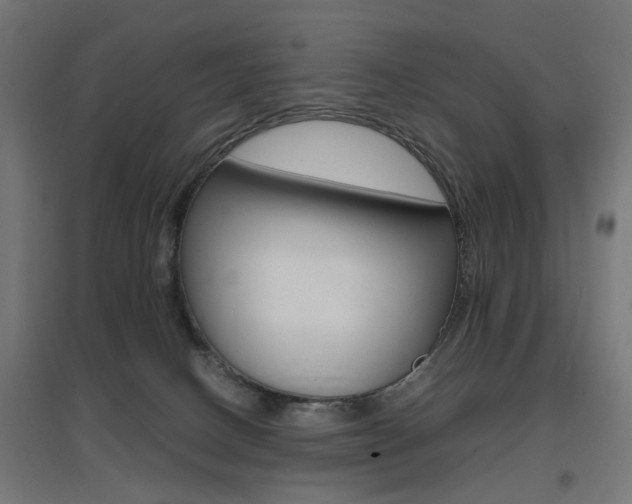 X0000097620082200802290830