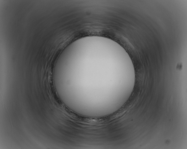 X0000097620083200802290830