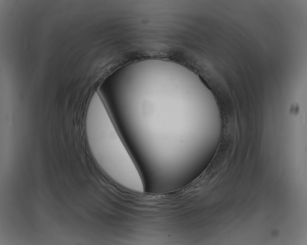 X0000097620084200802290830