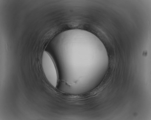 X0000097620085200802290830