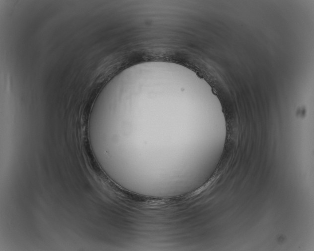 X0000097620086200802290830