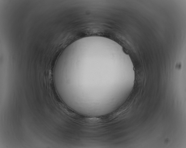 X0000097620087200802290830