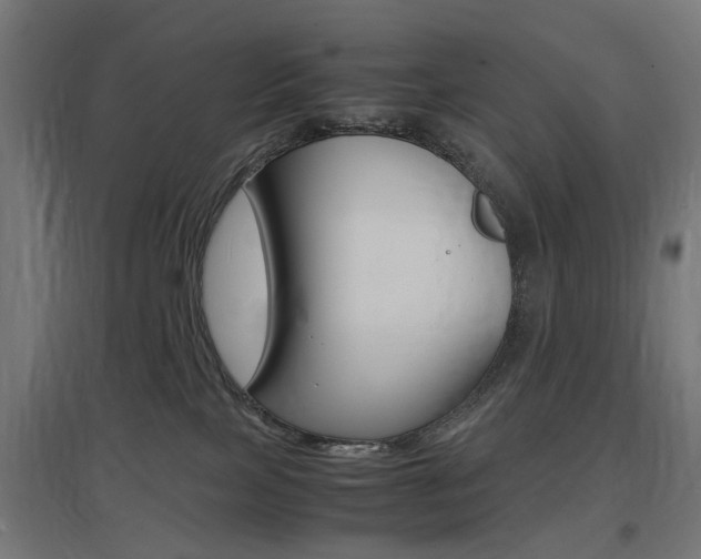 X0000097620089200802290830