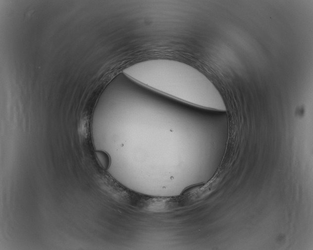 X0000097620090200802290830