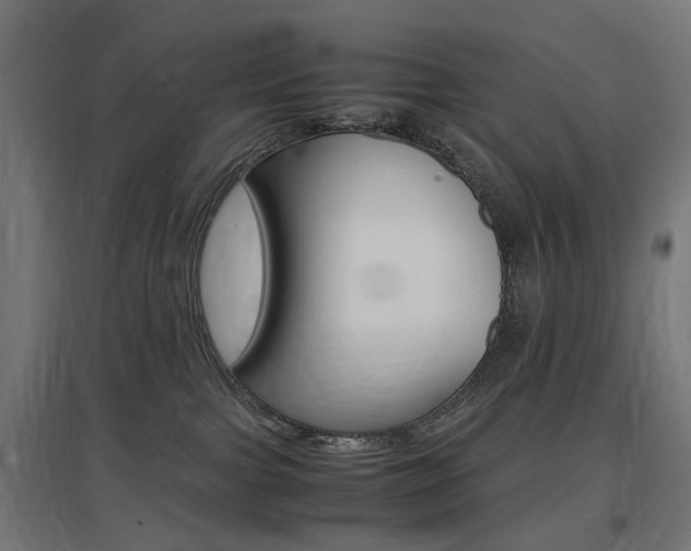 X0000097620091200802290830