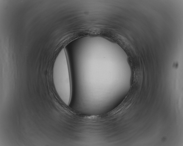 X0000097620092200802290830