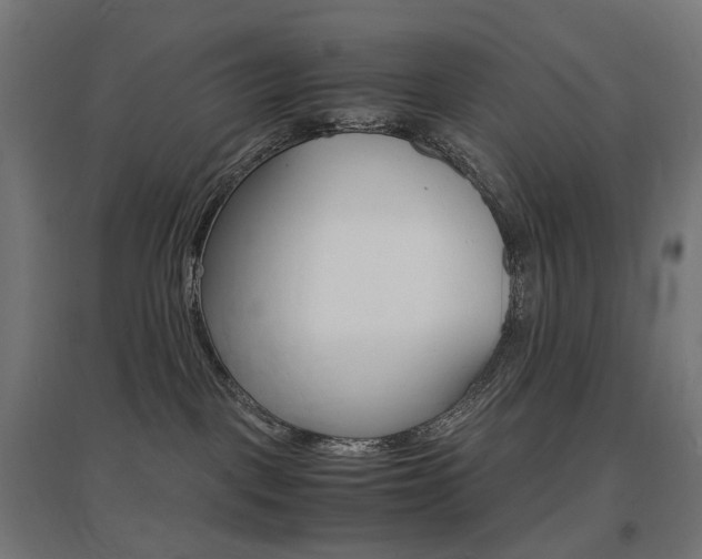 X0000097620093200802290830
