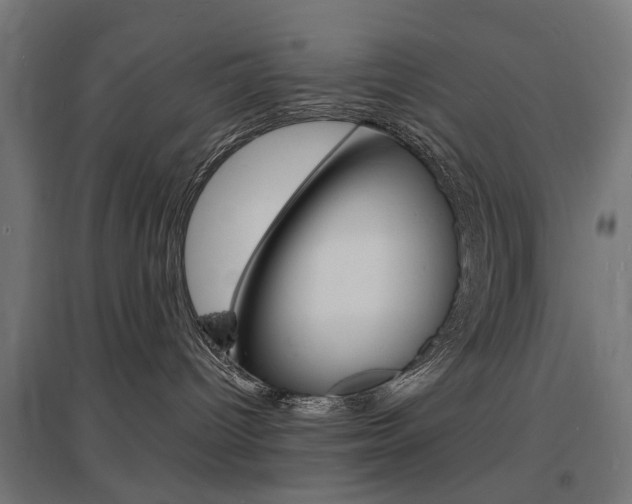 X0000097620096200802290830
