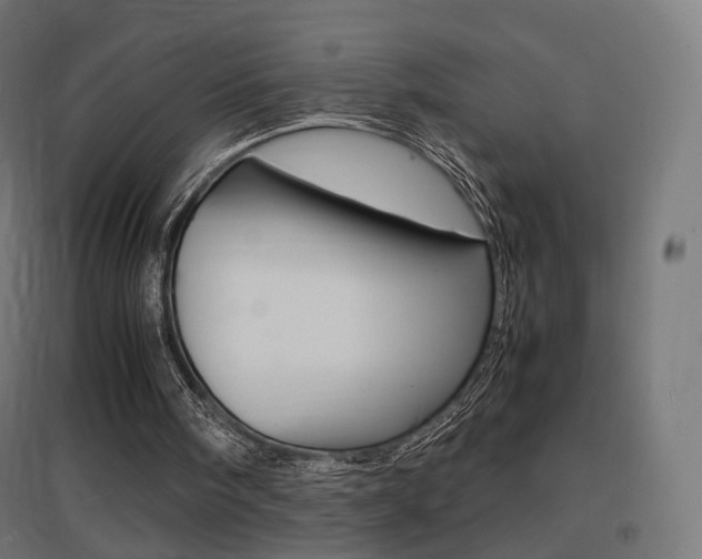 X0000097620098200802290829