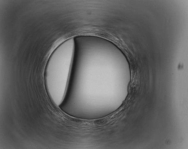 X0000097620099200802290829