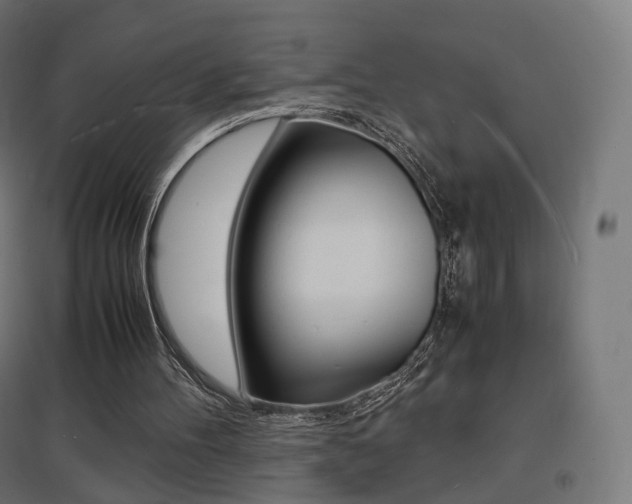X0000097620100200802290829