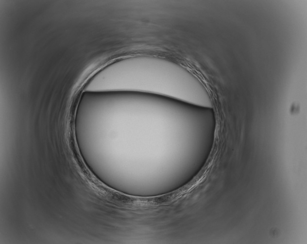 X0000097620101200802290829