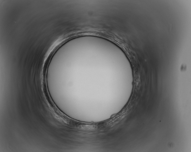X0000097620102200802290829