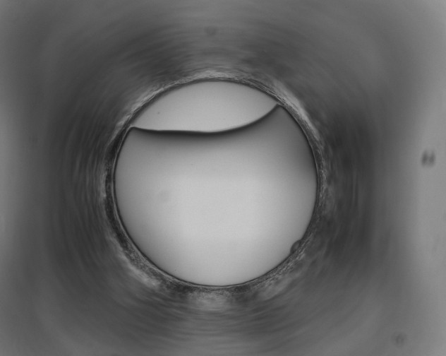 X0000097620106200802290829