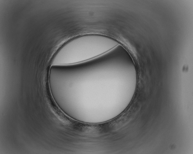 X0000097620107200802290829