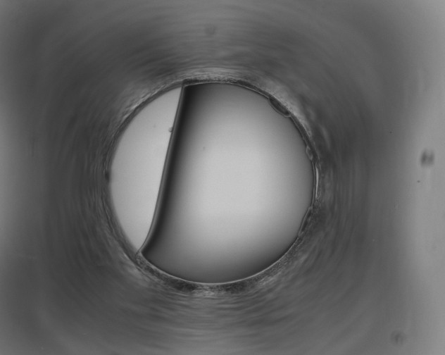 X0000097620109200802290829