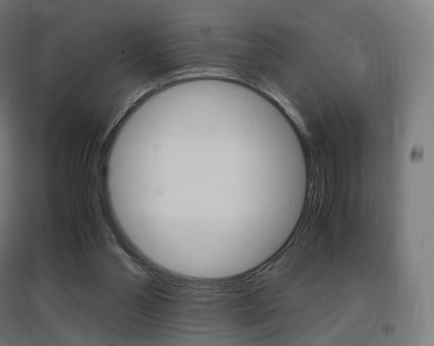 X0000097620110200802290829