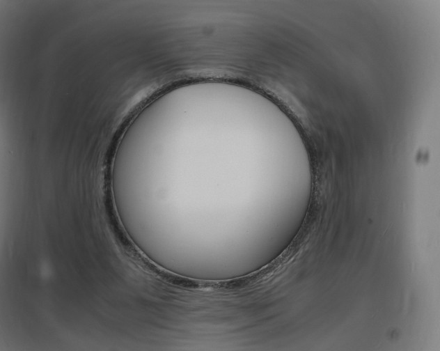 X0000097620111200802290829