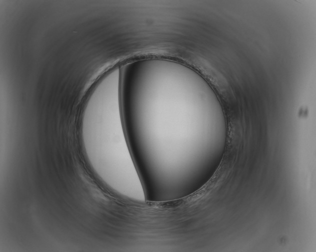 X0000097620112200802290829