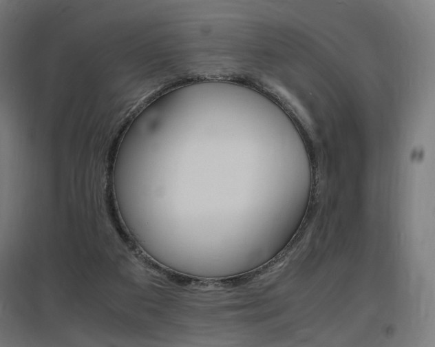 X0000097620113200802290829