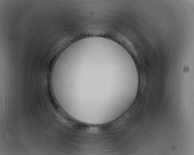 X0000097620114200802290829