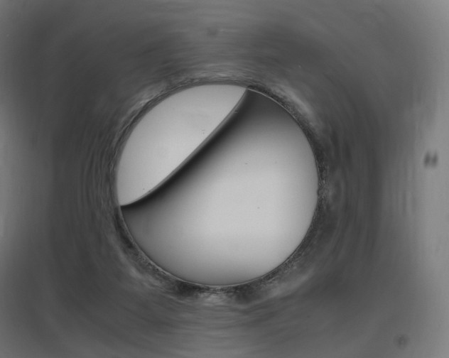 X0000097620115200802290829