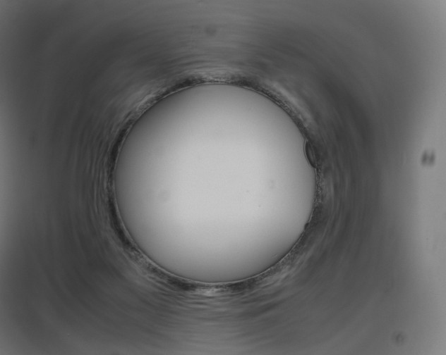 X0000097620117200802290829