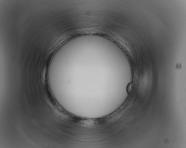 X0000097620118200802290829