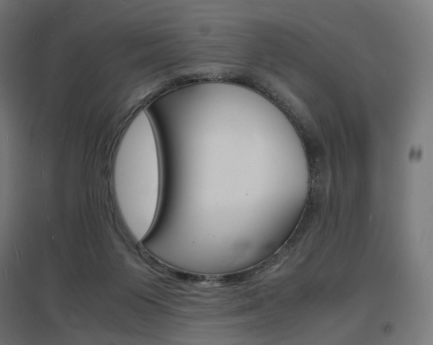 X0000097620119200802290829
