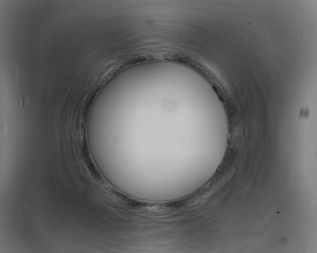 X0000097620121200802290829
