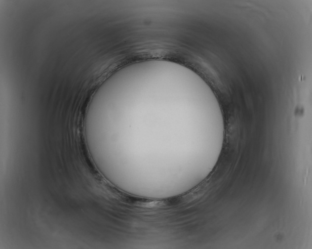 X0000097620122200802290829