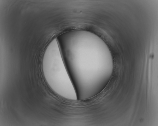 X0000097620123200802290829