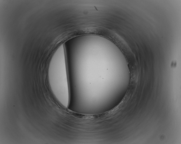X0000097620124200802290829