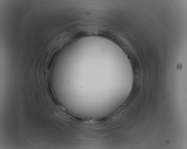X0000097620125200802290829