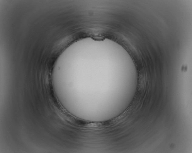 X0000097620126200802290829