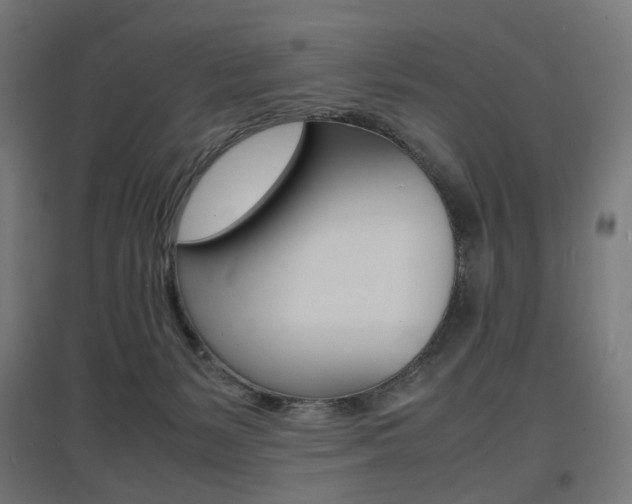 X0000097620127200802290829