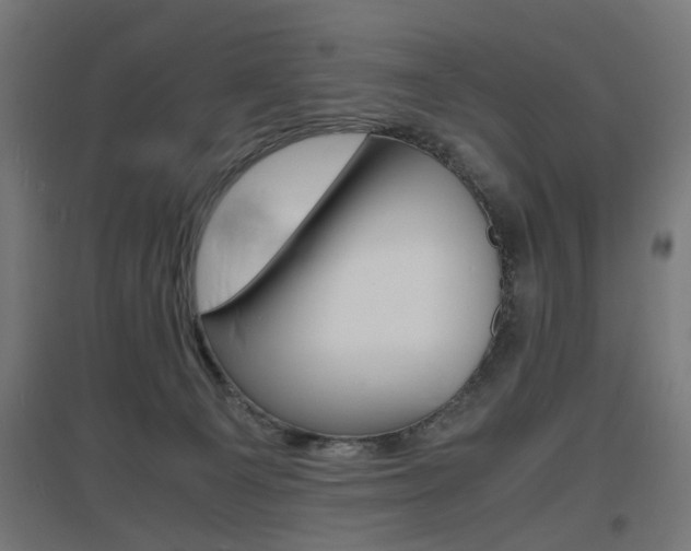 X0000097620129200802290829