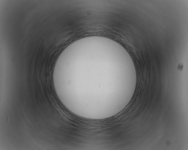 X0000097620130200802290829