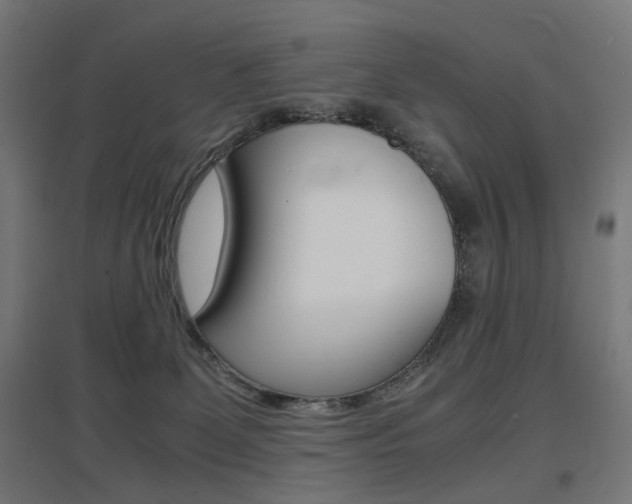 X0000097620131200802290829