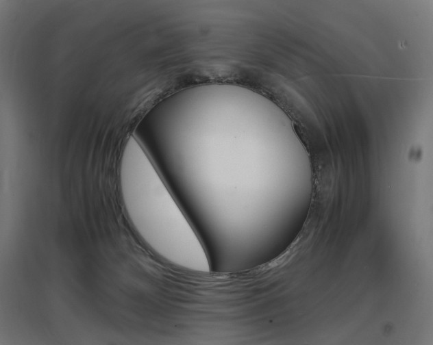 X0000097620132200802290829