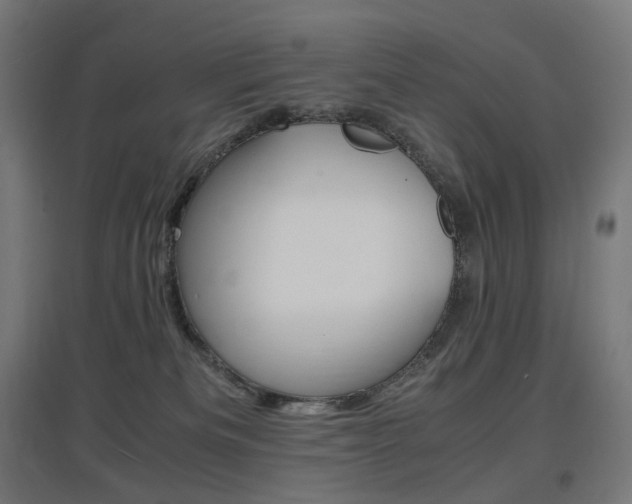 X0000097620133200802290829
