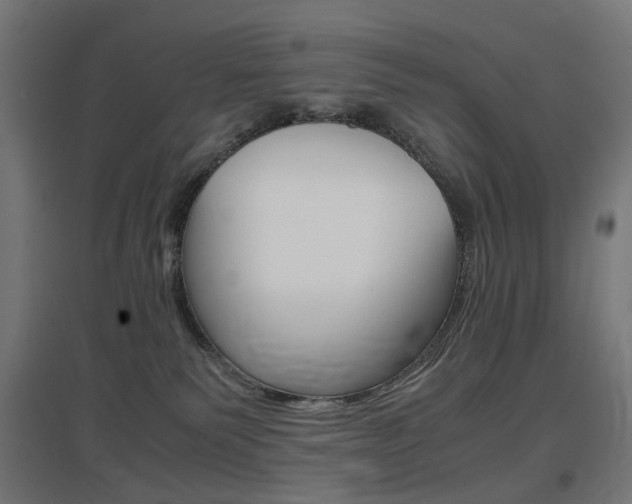 X0000097620135200802290829