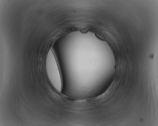X0000097620136200802290829