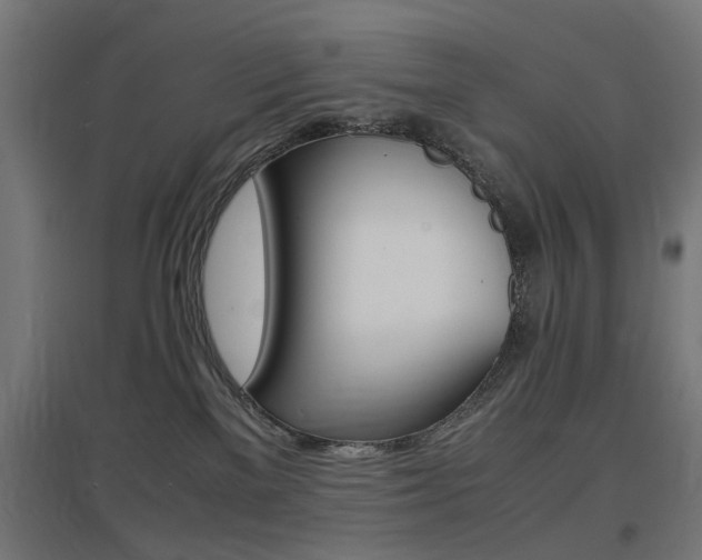 X0000097620137200802290829
