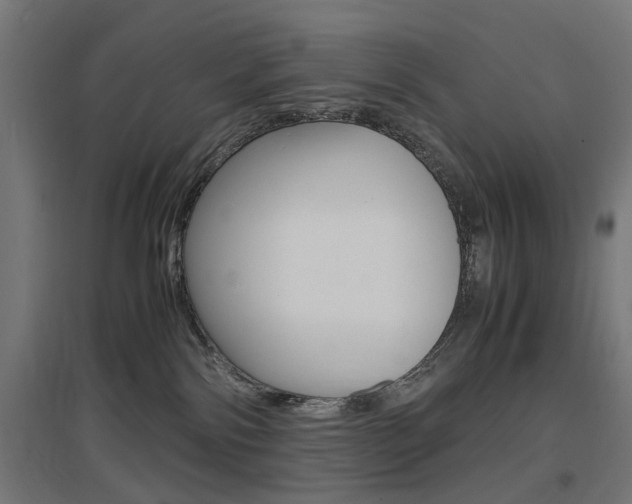 X0000097620138200802290829